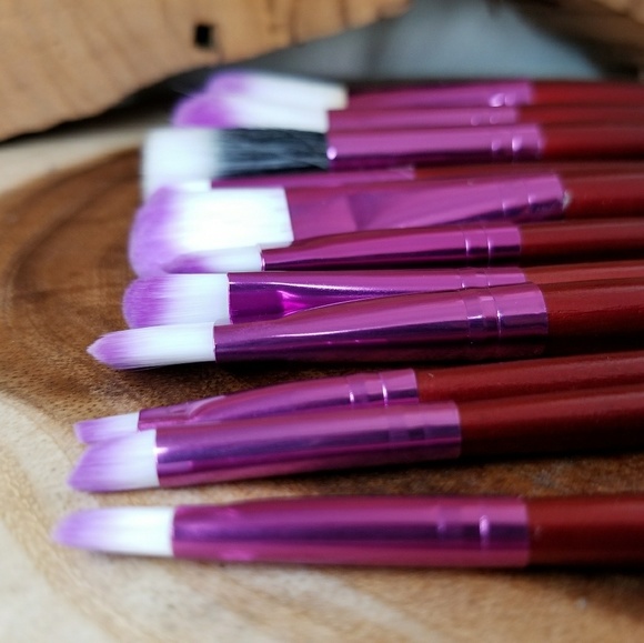Other - 12 piece brush set and case